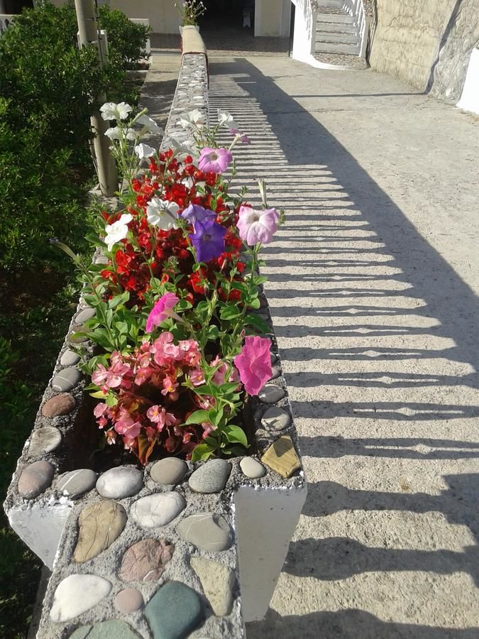 Апартаменты Beautiful view Котор