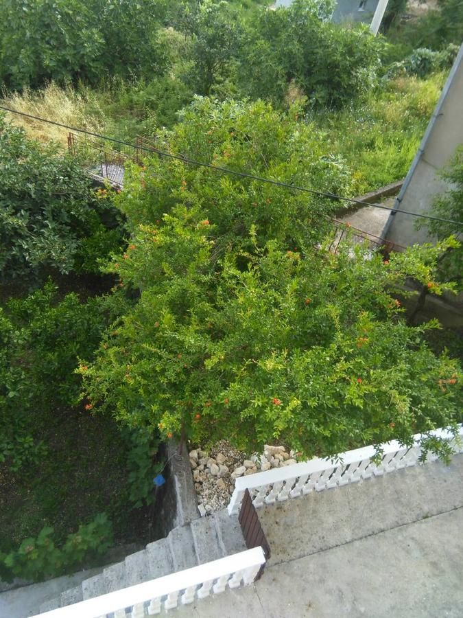 Апартаменты Beautiful view Котор