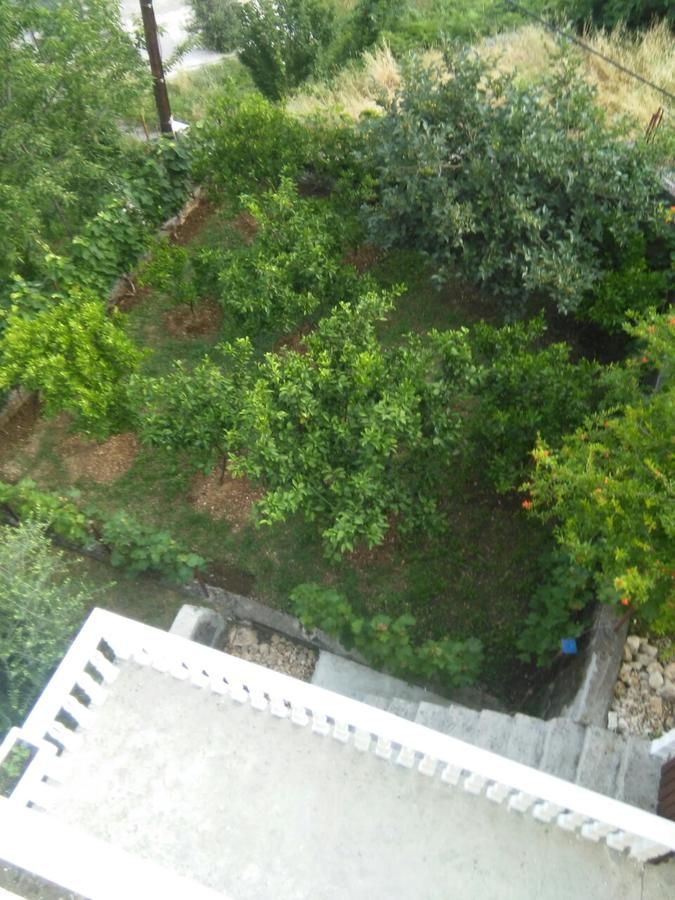 Апартаменты Beautiful view Котор