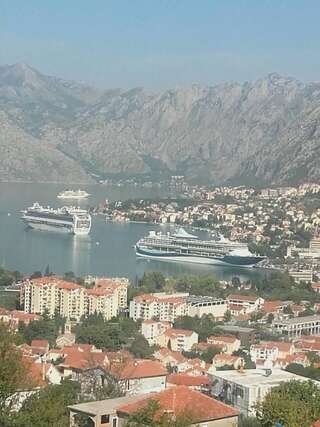 Апартаменты Beautiful view Котор Апартаменты-20