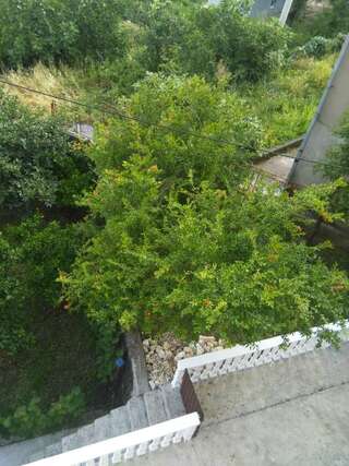 Апартаменты Beautiful view Котор Апартаменты-23