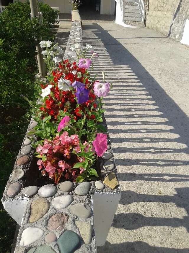 Апартаменты Beautiful view Котор-24