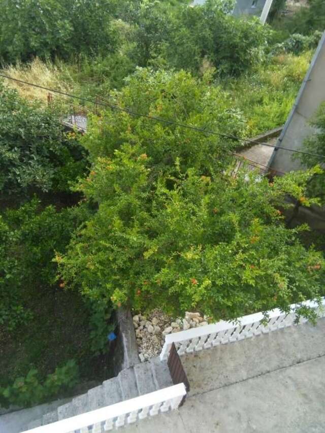 Апартаменты Beautiful view Котор-66